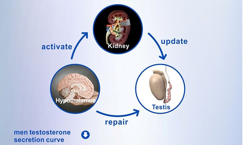 fhl-en-2014_3_5__6_-2.jpg