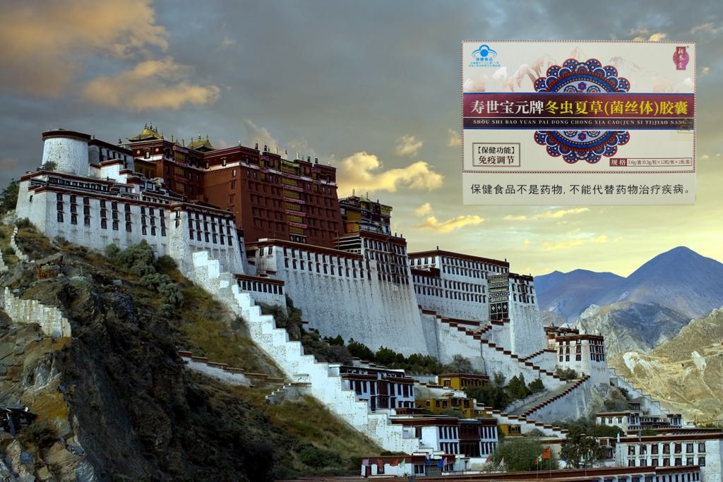 lhasa--1914533-12-2.jpg