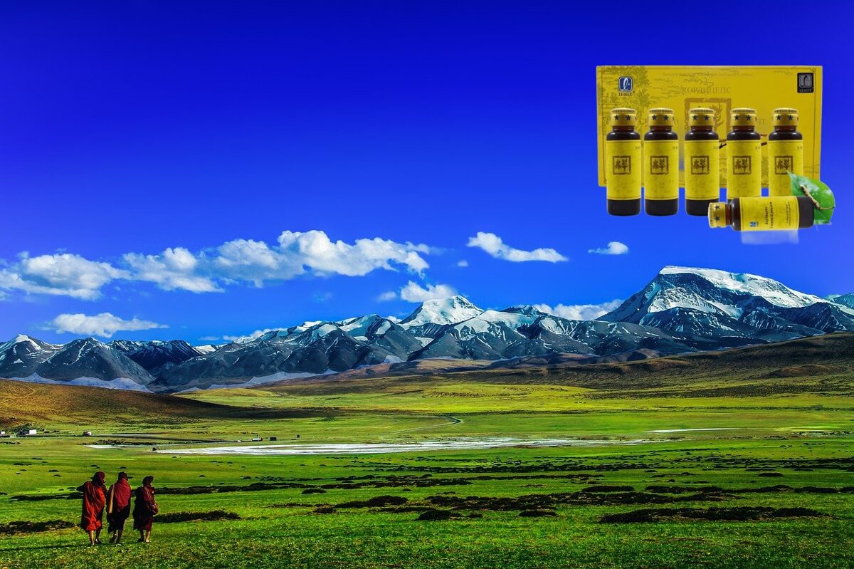 theravada-buddhism-1.jpg